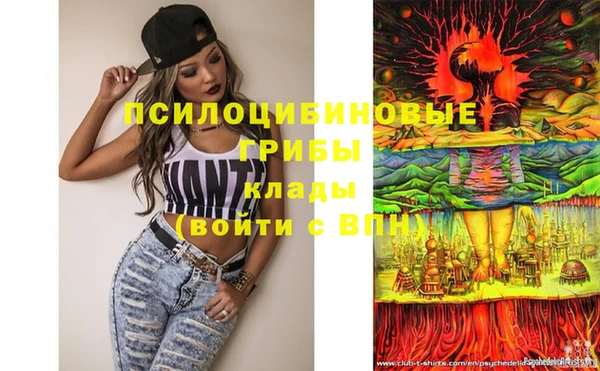 мескалин Бронницы